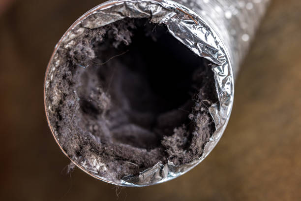Best Emergency Air Duct Cleaning  in St Charles, MI