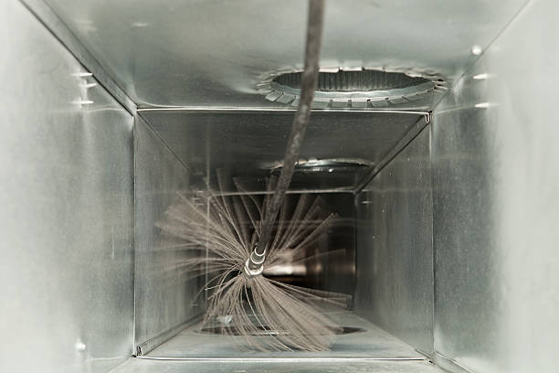 Best Professional Duct Cleaning Services  in St Charles, MI