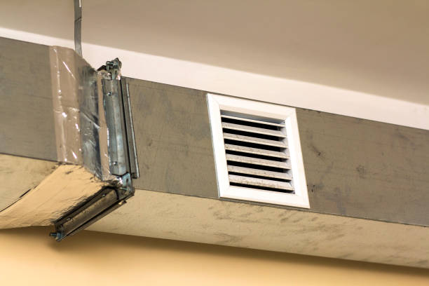 Best HVAC System Cleaning  in St Charles, MI